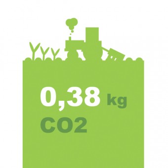 groene illustraties